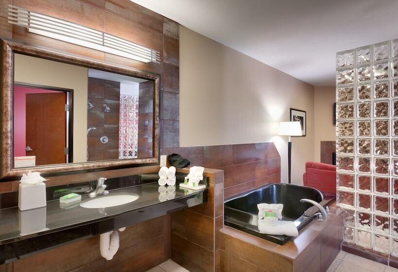 سوییت, Holiday Inn Hotel & Suites Salt Lake City Airport West By Ihg