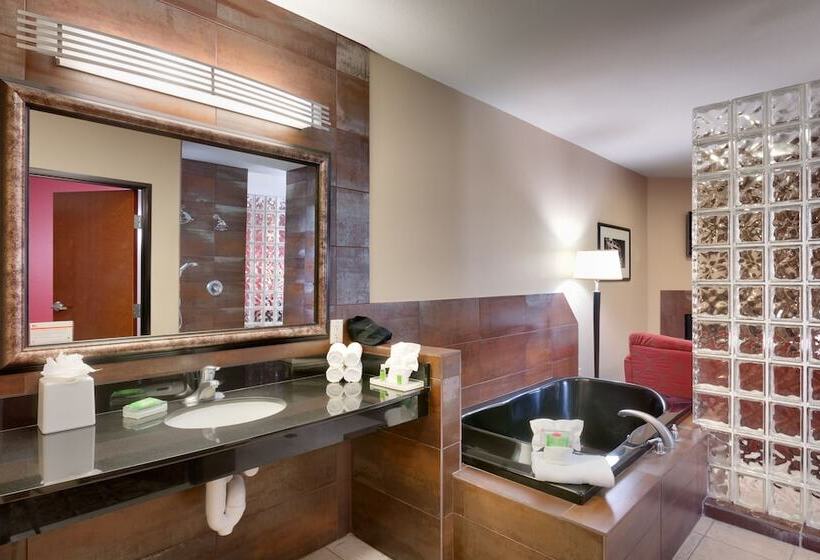 Suite, Holiday Inn Salt Lake City  Airport West