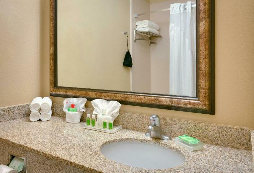 سوئیت با تخت بزرگ, Holiday Inn Hotel & Suites Salt Lake City Airport West By Ihg