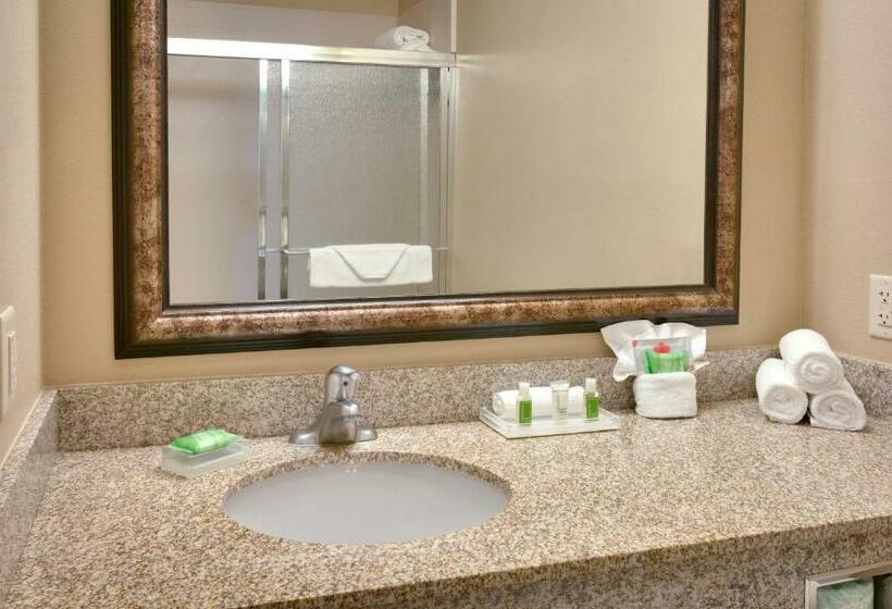اتاق استاندارد با تخت بزرگ, Holiday Inn Hotel & Suites Salt Lake City Airport West By Ihg