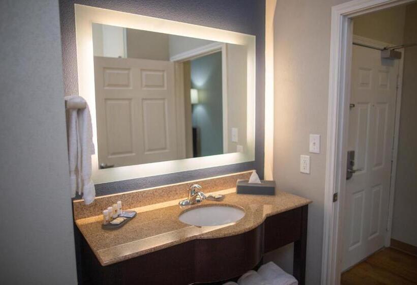 اتاق لوکس با تخت بزرگ, La Quinta By Wyndham Houston East At Normandy