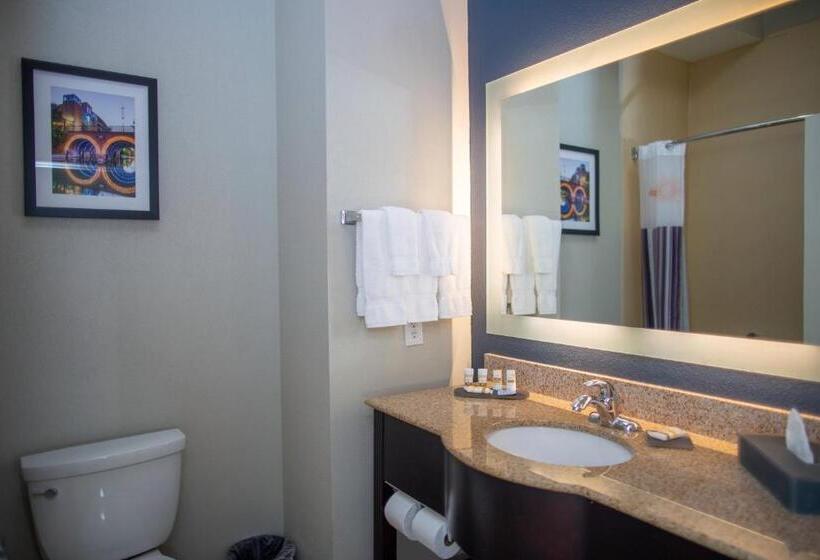 اتاق استاندارد با تخت بزرگ, La Quinta By Wyndham Houston East At Normandy