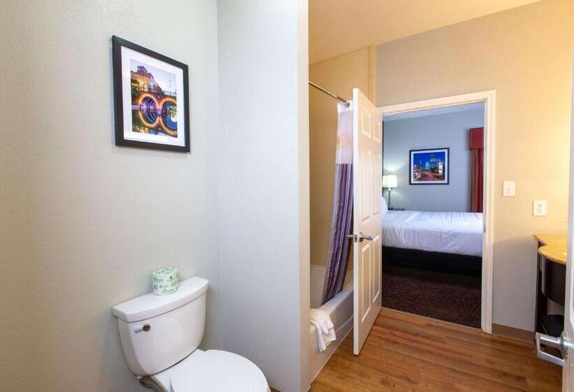 سوئیت با تخت بزرگ, La Quinta By Wyndham Houston East At Normandy