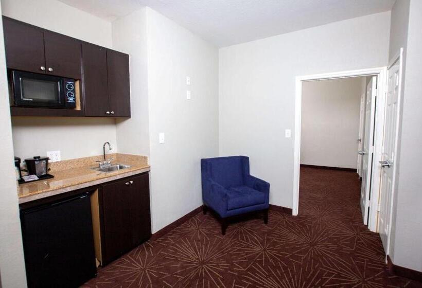 سوئیت با تخت بزرگ, La Quinta By Wyndham Houston East At Normandy