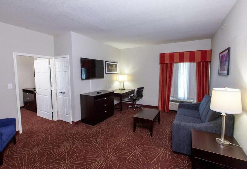 سوئیت با تخت بزرگ, La Quinta By Wyndham Houston East At Normandy
