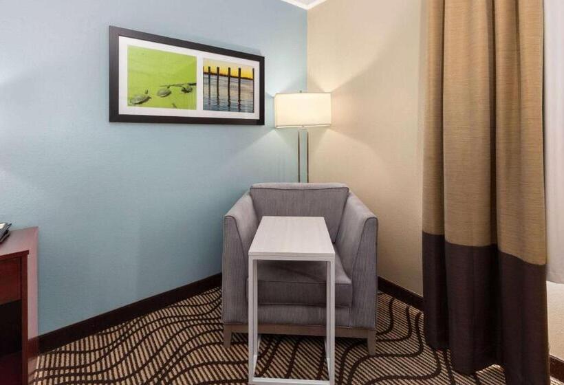 اتاق استاندارد با تخت بزرگ, La Quinta By Wyndham Houma