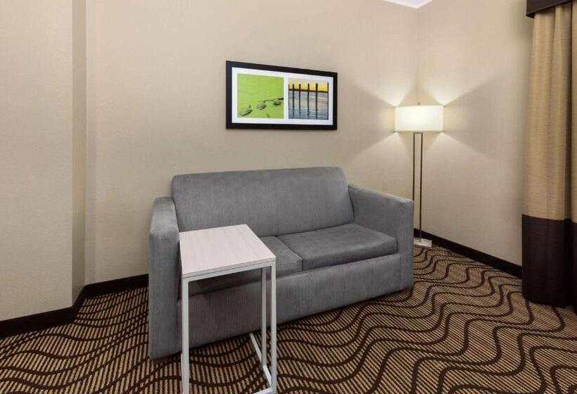 اتاق دلوکس مخصوص معلولین, La Quinta By Wyndham Houma
