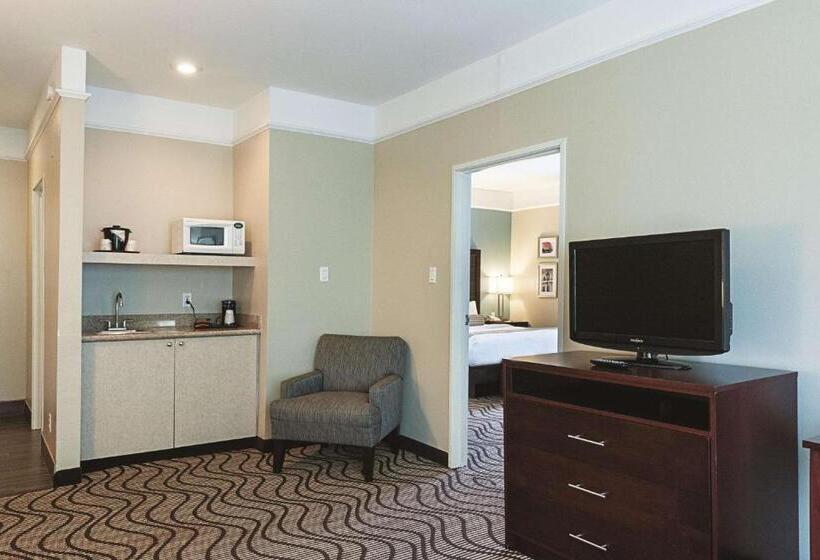 سوئیت با تخت بزرگ, La Quinta By Wyndham Houma