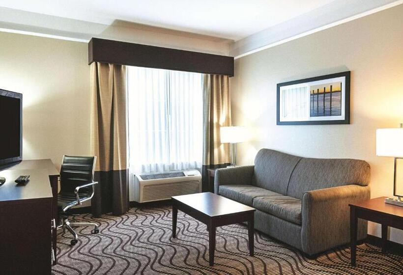 سوئیت با تخت بزرگ, La Quinta By Wyndham Houma