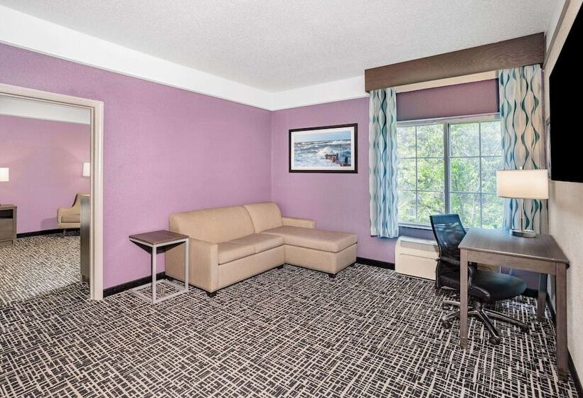 Deluxe Suite, La Quinta Inn & Suites By Wyndham Norfolk Airport