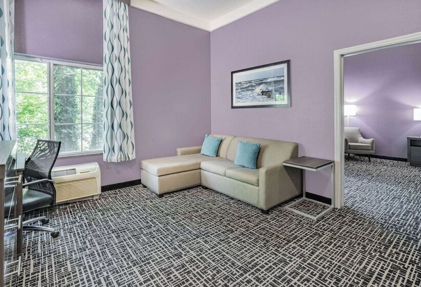 سوییت لوکس, La Quinta Inn & Suites By Wyndham Norfolk
