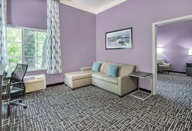 Suite Deluxe, La Quinta Inn & Suites By Wyndham Norfolk Airport