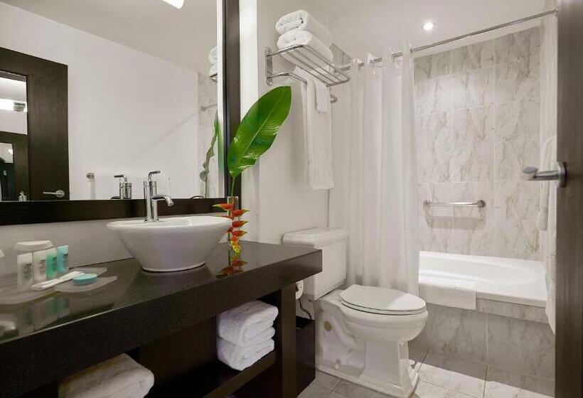مجموعه ویستا شهر, S Hotel Kingston