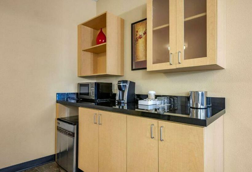 سوئیت با تخت بزرگ, Cambria Hotel Ft Lauderdale, Airport South & Cruise Port