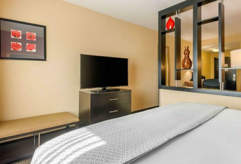 سوئیت با تخت بزرگ, Cambria Hotel Ft Lauderdale, Airport South & Cruise Port