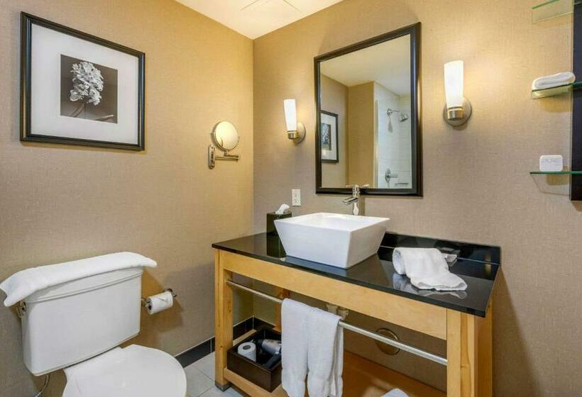 سوئیت با تخت بزرگ, Cambria Hotel Ft Lauderdale, Airport South & Cruise Port