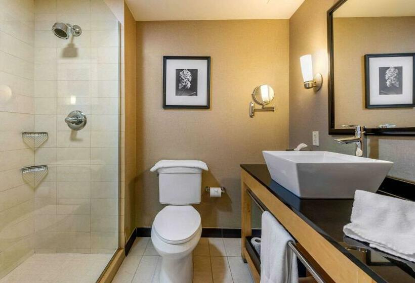 سوئیت با تخت بزرگ, Cambria Hotel Ft Lauderdale, Airport South & Cruise Port