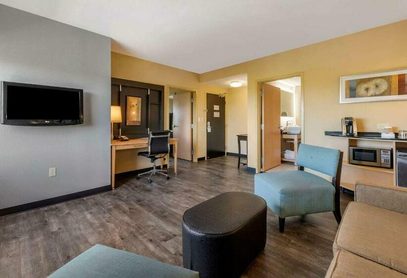 سوییت, Cambria Hotel Ft Lauderdale, Airport South & Cruise Port