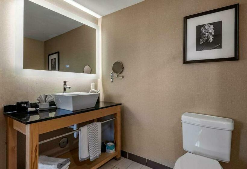 سوییت, Cambria Hotel Ft Lauderdale, Airport South & Cruise Port