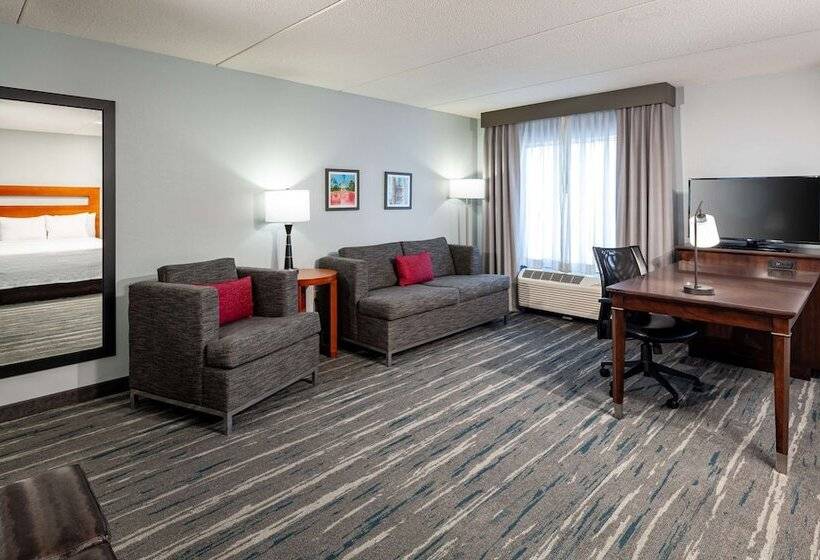 스탠다드 스튜디오, Hampton Inn & Suites St. Louis At Forest Park