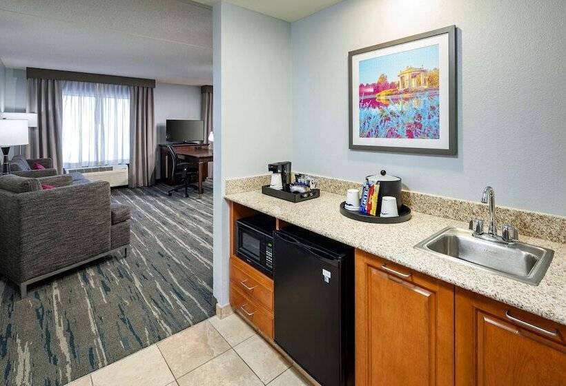 استودیوی استاندارد, Hampton Inn & Suites St. Louis At Forest Park