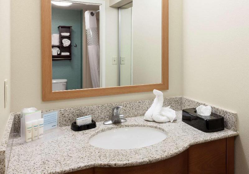 سوئیت با تخت بزرگ, Hampton Inn & Suites St. Louis At Forest Park