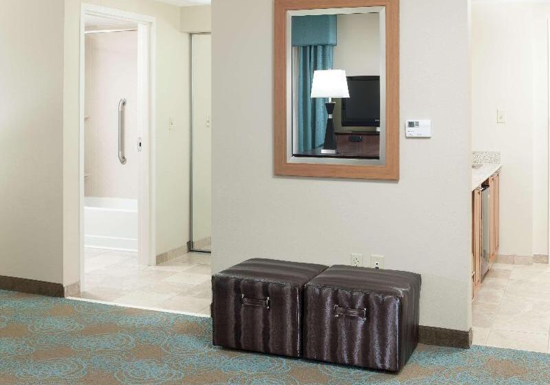 سوئیت با تخت بزرگ, Hampton Inn & Suites St. Louis At Forest Park