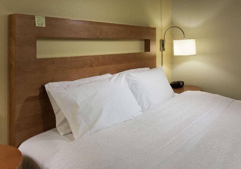 اتاق استاندارد با تخت بزرگ, Hampton Inn & Suites St. Louis At Forest Park