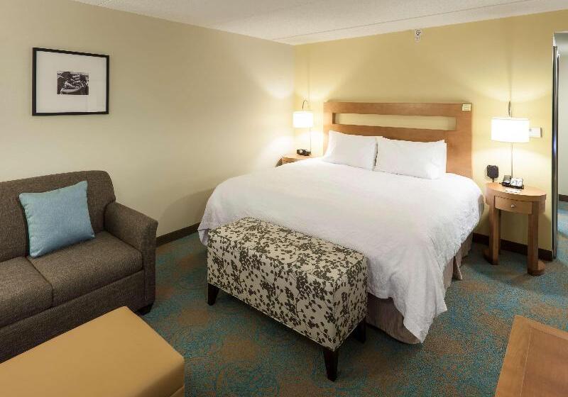 اتاق استاندارد با تخت بزرگ, Hampton Inn & Suites St. Louis At Forest Park
