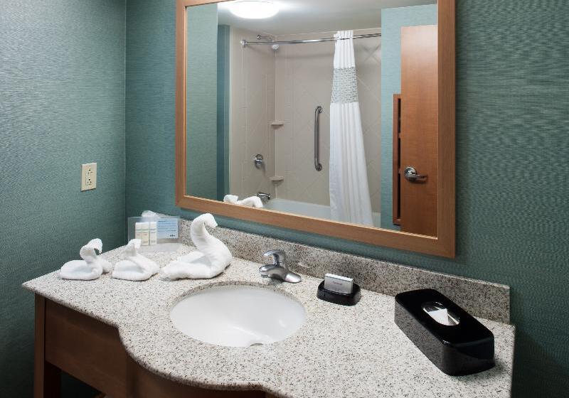 اتاق استاندارد با تخت بزرگ, Hampton Inn & Suites St. Louis At Forest Park