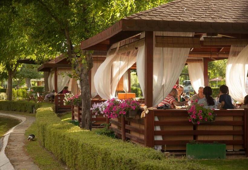 اتاق استاندارد, Bellevue