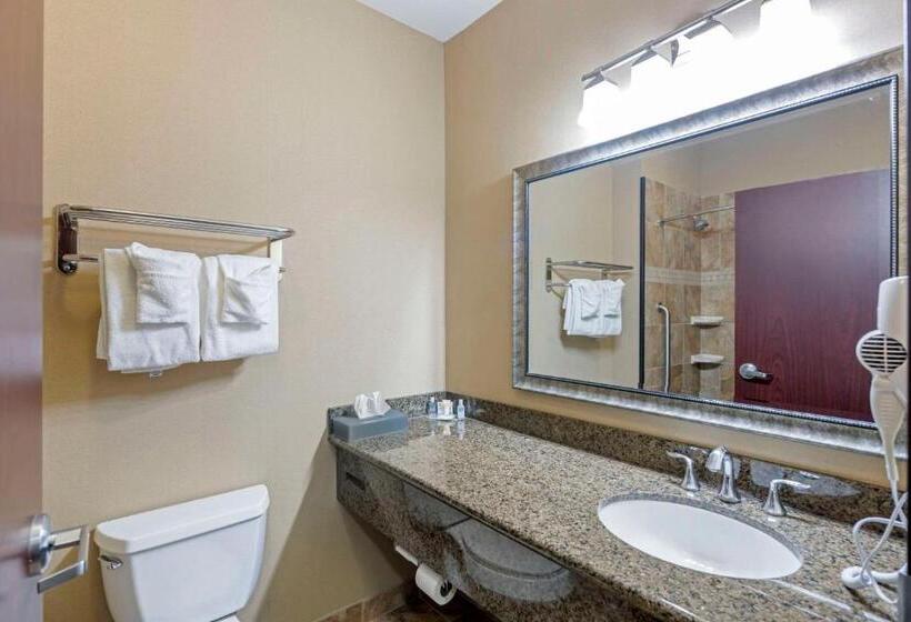اتاق استاندارد با تخت بزرگ, Comfort Inn & Suites Fort Worth  Fossil Creek