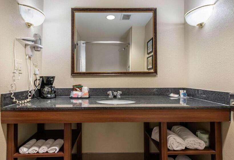 سوئیت با تخت بزرگ, Comfort Suites Cincinnati Airport