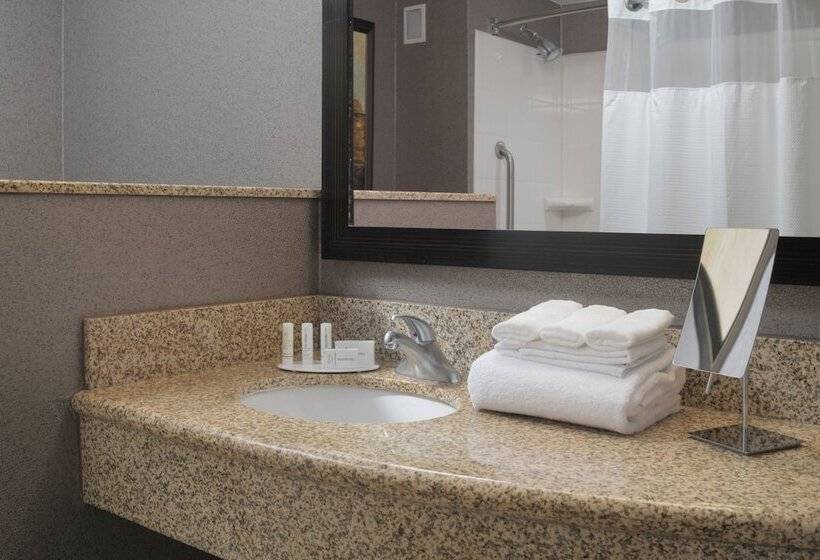 اتاق استاندارد با تخت دوبل و چشم‌انداز, Courtyard By Marriott San Antonio Riverwalk