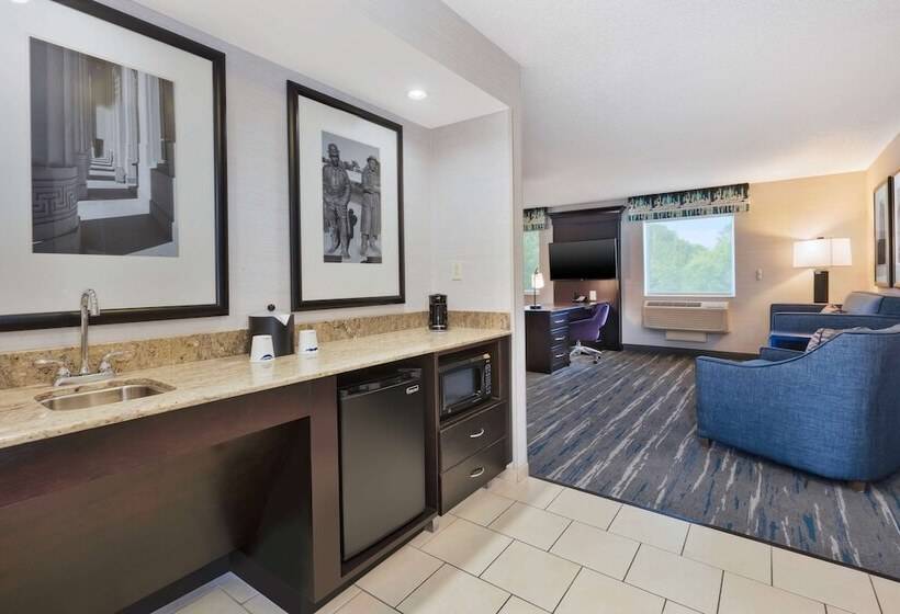 استودیوی استاندارد, Hampton Inn & Suites Flint/grand Blanc