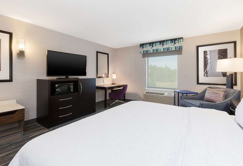 Quarto standard, Hampton Inn And Suites Flint Grand Blanc