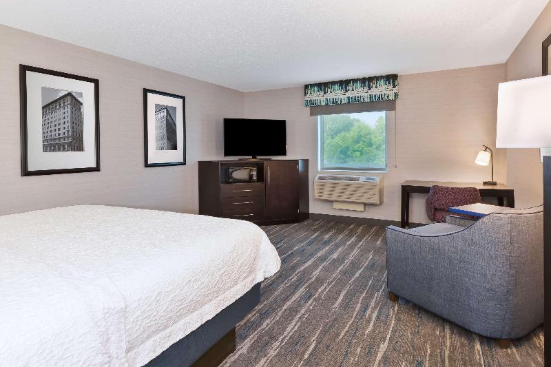 اتاق استاندارد با تخت بزرگ, Hampton Inn & Suites Flint/grand Blanc