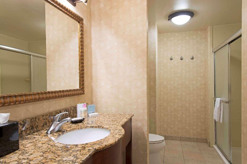اتاق استاندارد برای معلولان, Hampton Inn And Suites Indianapolis Fishers