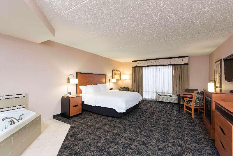 اتاق استاندارد با تخت بزرگ, Hampton Inn And Suites Indianapolis Fishers