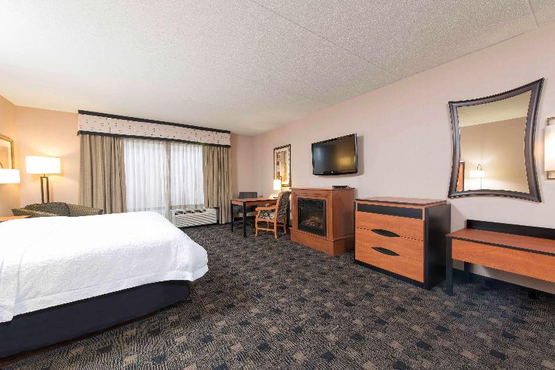 اتاق استاندارد با تخت بزرگ, Hampton Inn And Suites Indianapolis Fishers