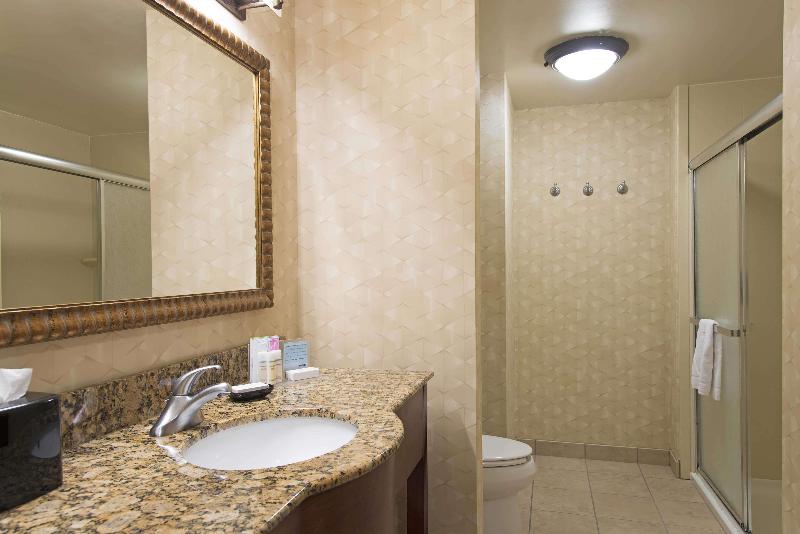 اتاق استاندارد با تخت بزرگ, Hampton Inn And Suites Indianapolis Fishers