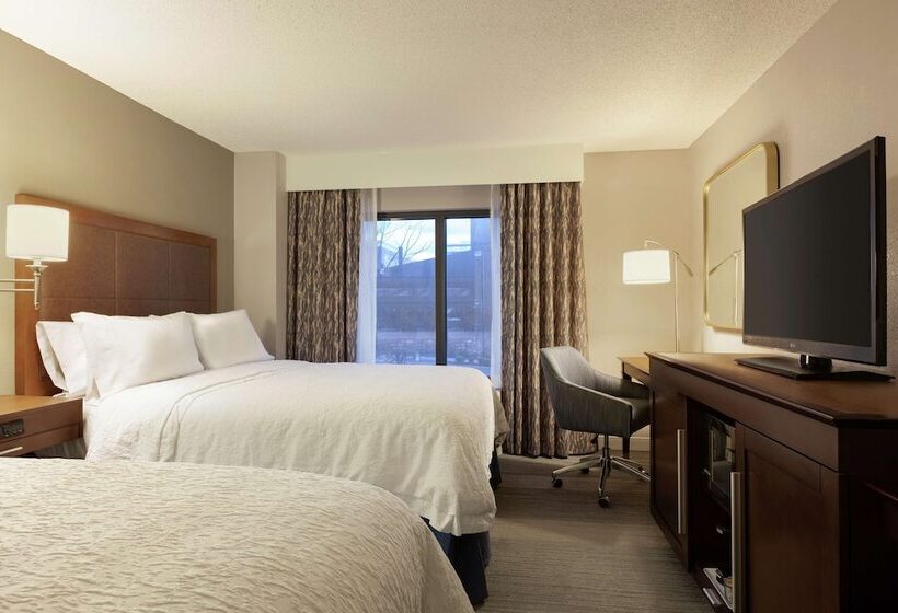 اتاق استاندارد با 2 تخت دوبل, Hampton Inn And Suites Nashville Downtown