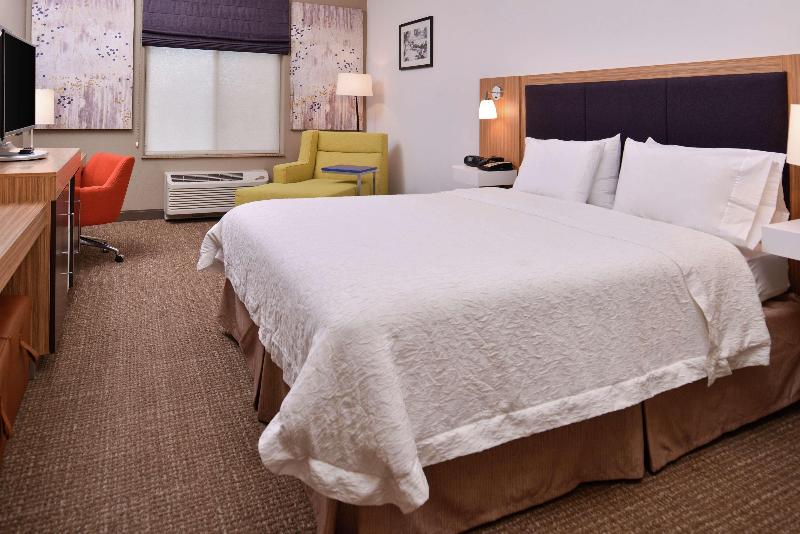 اتاق استاندارد با تخت بزرگ, Hampton Inn & Suites Woodland Sacramento Area