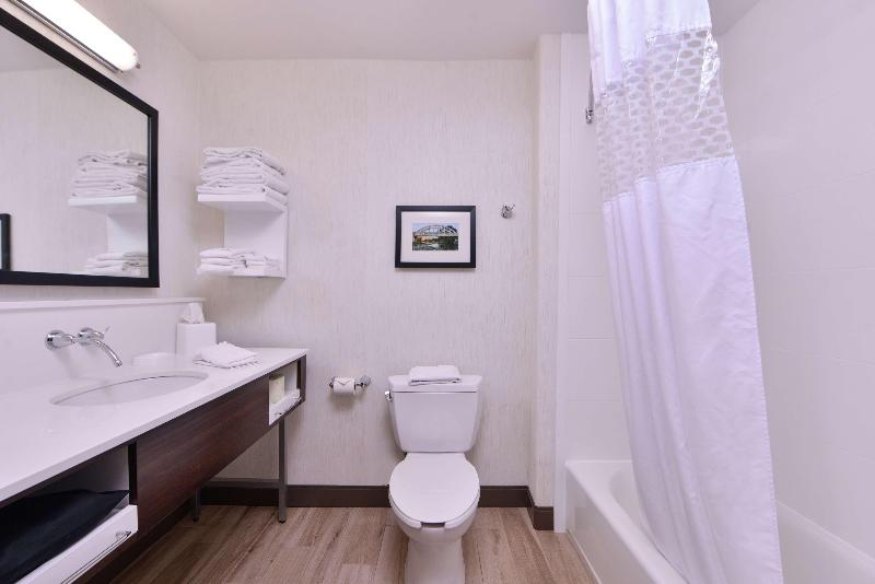 سوئیت با تخت بزرگ, Hampton Inn & Suites Woodland Sacramento Area