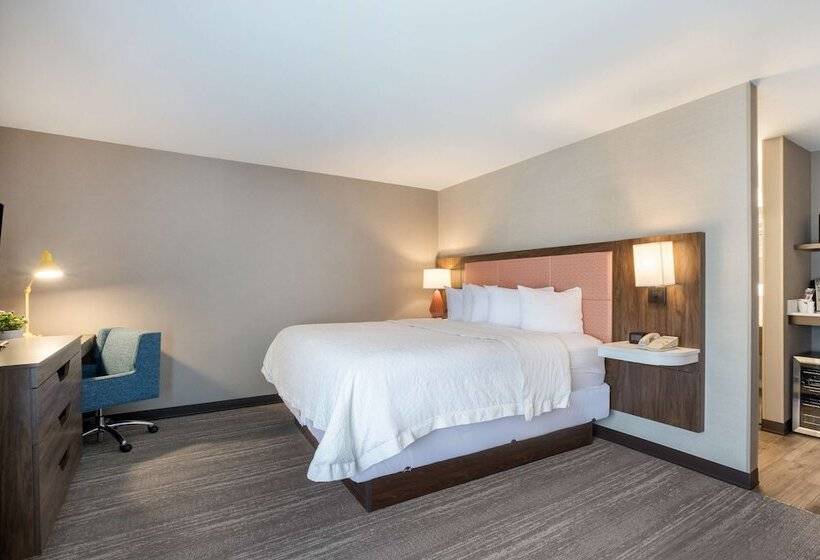 اتاق استاندارد با تخت بزرگ, Hampton Inn Princeton