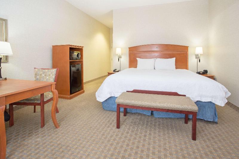 اتاق استاندارد با تخت بزرگ, Hampton Inn Santa Rosa
