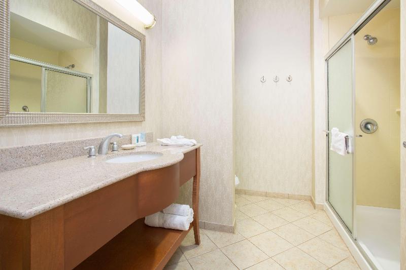 اتاق استاندارد با تخت بزرگ, Hampton Inn Santa Rosa