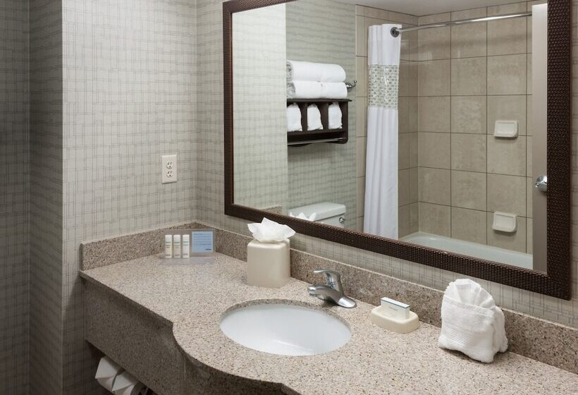 اتاق استاندارد با تخت دوبل, Hampton Inn & Suites Boisedowntown