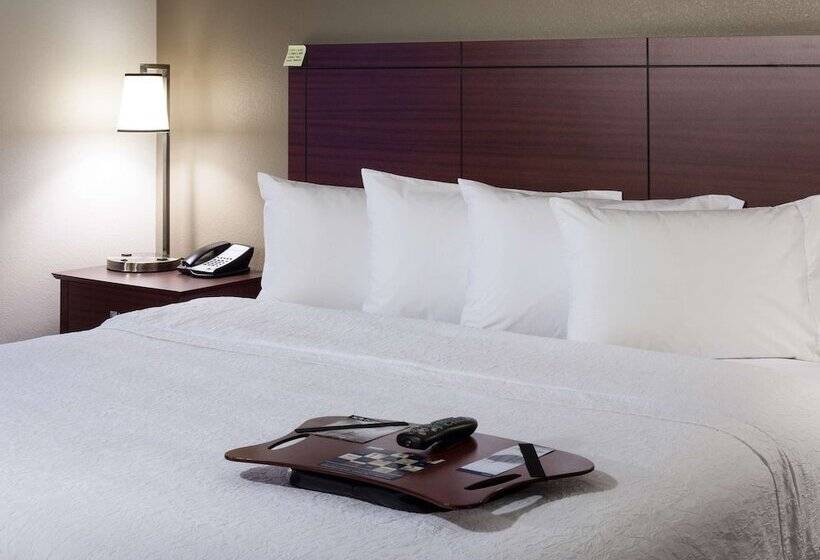 غرفة قياسية سرير مزدوج, Hampton Inn & Suites Boisedowntown