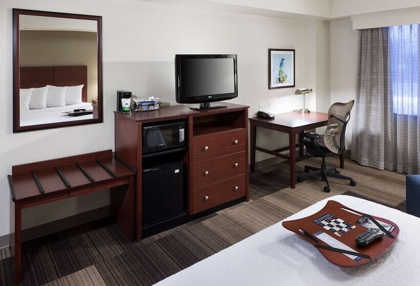 Standaardkamer met Tweepersoonsbed, Hampton Inn & Suites Boisedowntown